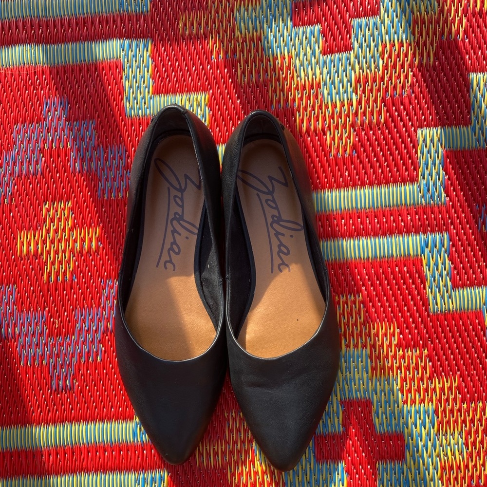 Pointed Black Flats